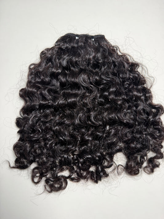 Burmese Curly Weft